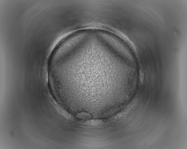 X0000112071368200908181211