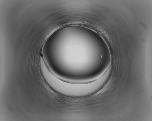 X0000112071369200908181211