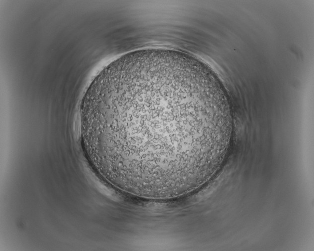 X0000112071371200908181211