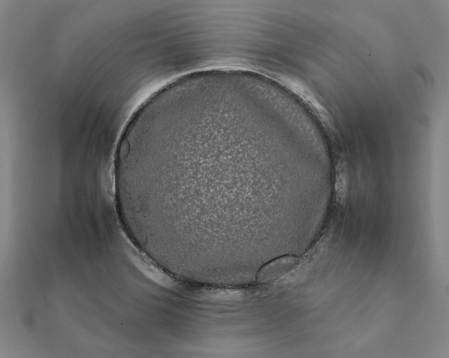 X0000112071372200908181211