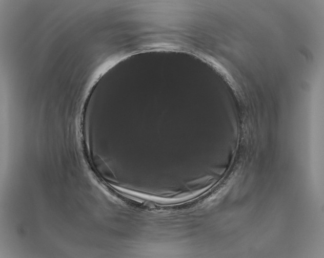 X0000112071373200908181210