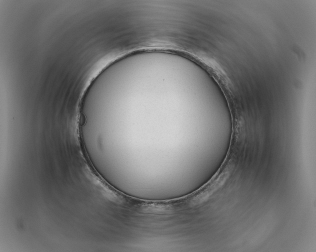 X0000112071374200908181210