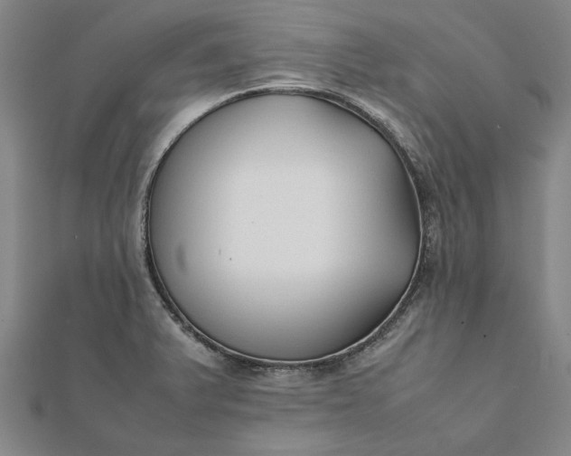 X0000112071375200908181210