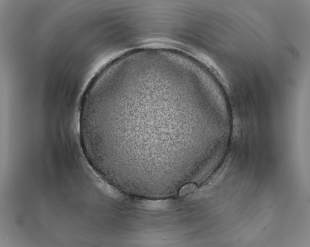 X0000112071376200908181210