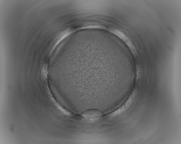 X0000112071377200908181210