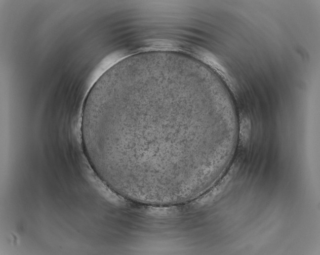 X0000112071378200908181210