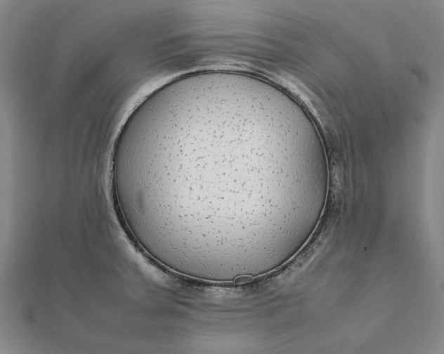 X0000112071379200908181210