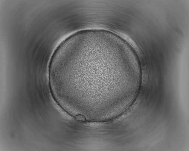 X0000112071380200908181210