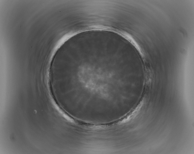 X0000112071381200908181210