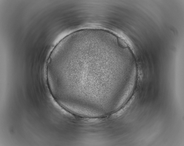 X0000112071382200908181210