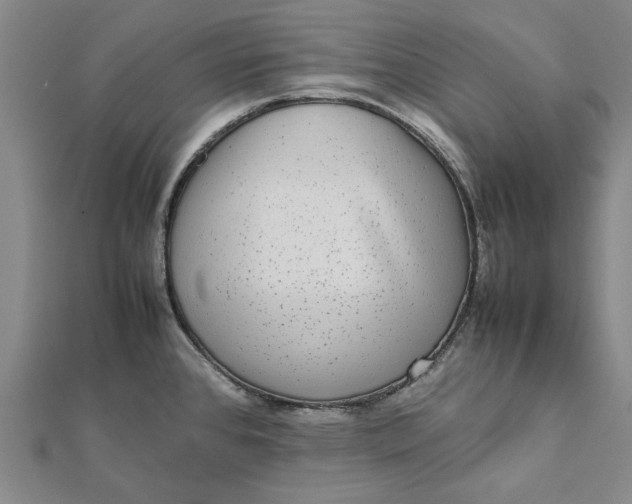 X0000112071384200908181210