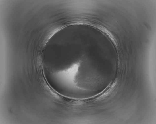 X0000112071385200908181210