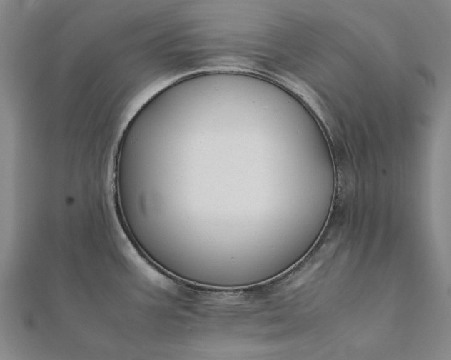 X0000112071387200908181210