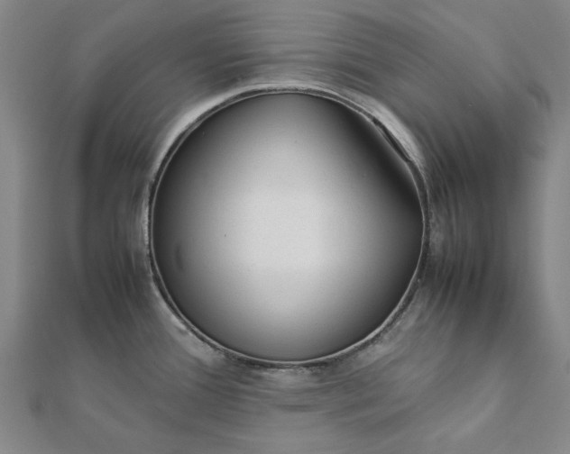 X0000112071388200908181210