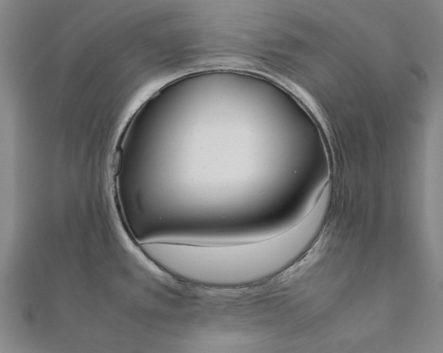 X0000112071389200908181210