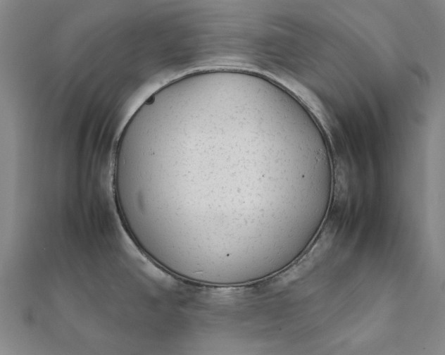 X0000112071390200908181210