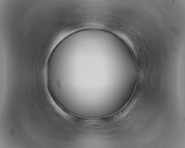 X0000112071391200908181210