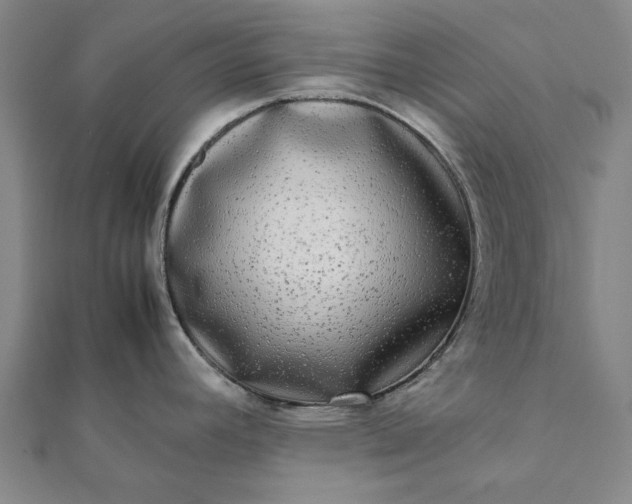 X0000112071392200908181210