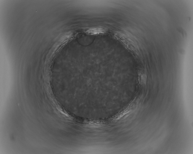 X0000112071393200908181210