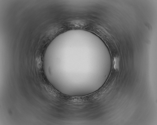 X0000112071395200908181210