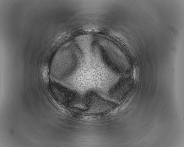 X0000112071396200908181210