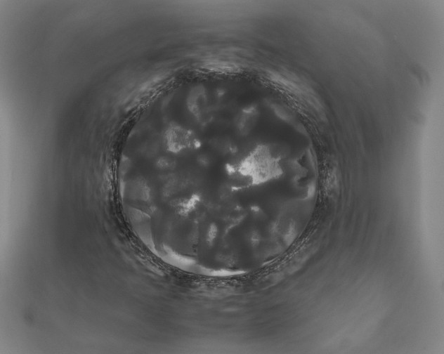 X0000112071397200908181210