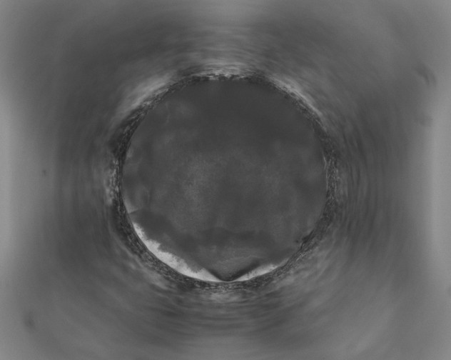 X0000112071399200908181210