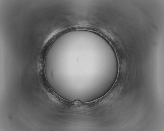 X0000112071400200908181210