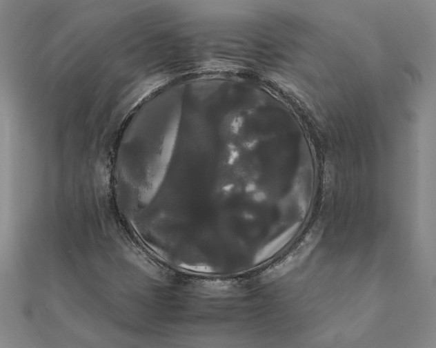 X0000112071401200908181210