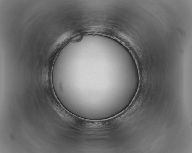 X0000112071403200908181210