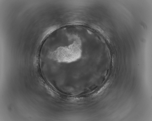 X0000112071405200908181210