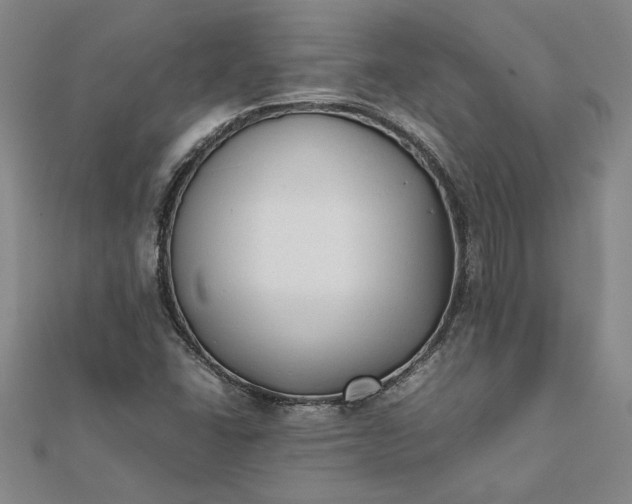 X0000112071406200908181210