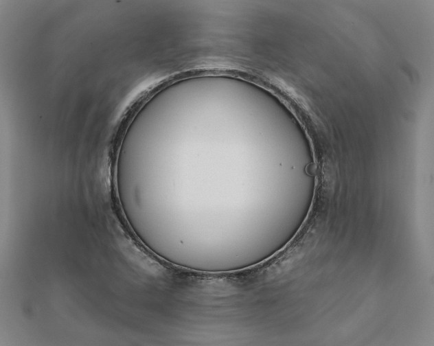 X0000112071408200908181210