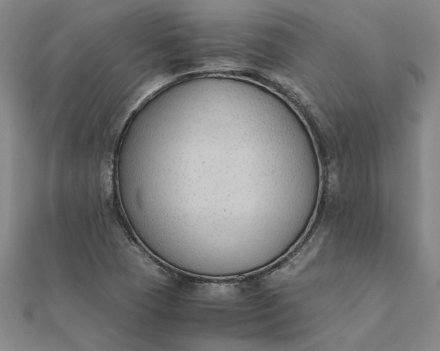 X0000112071409200908181210