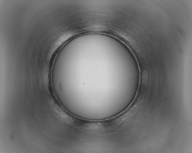 X0000112071410200908181210