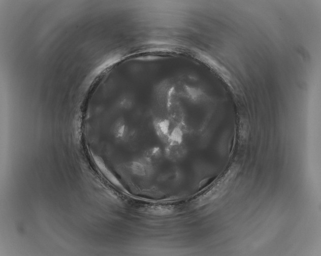 X0000112071411200908181210