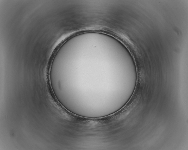 X0000112071412200908181210