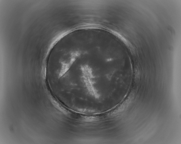 X0000112071413200908181210