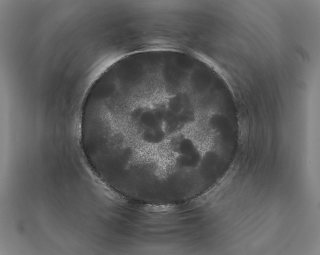 X0000112071415200908181210