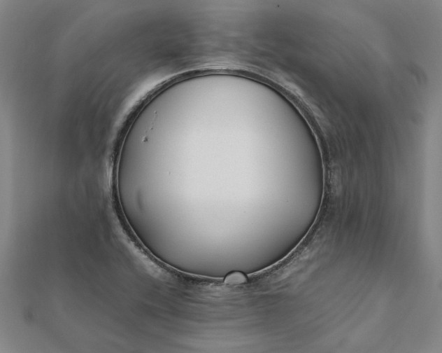 X0000112071416200908181210