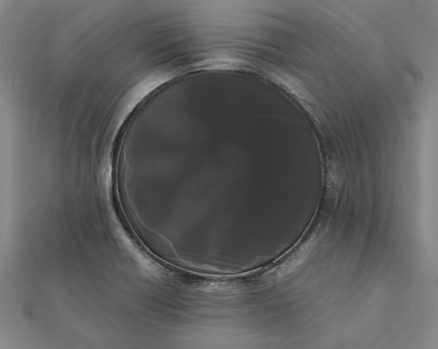 X0000112071418200908181210