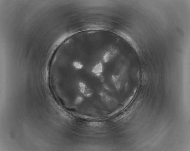 X0000112071419200908181210