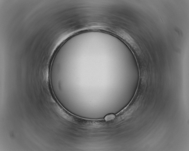 X0000112071420200908181210