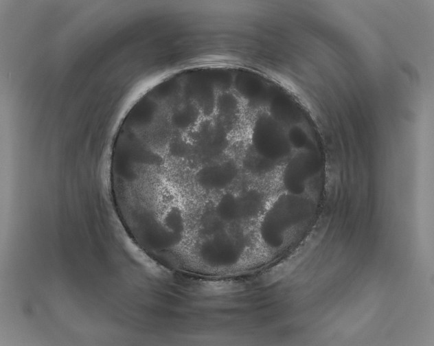 X0000112071421200908181210