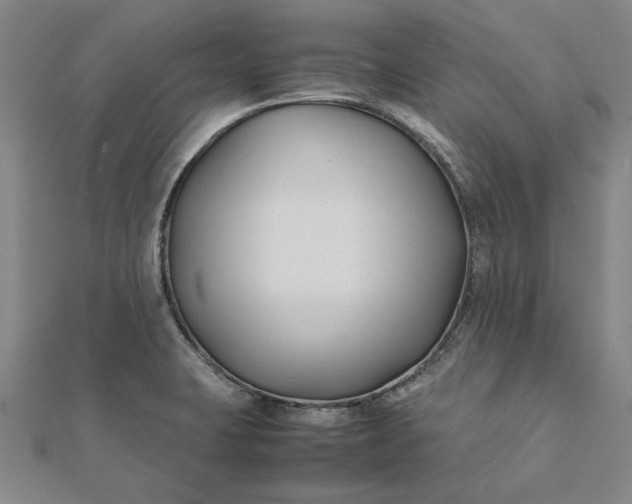 X0000112071423200908181210