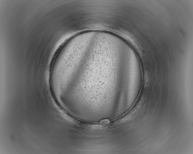 X0000112071424200908181210