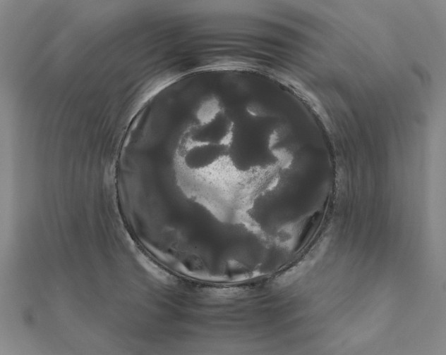 X0000112071425200908181210