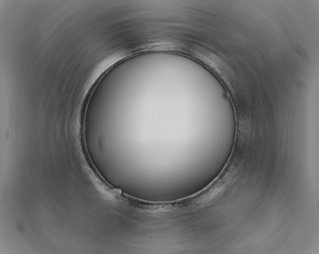 X0000112071426200908181210