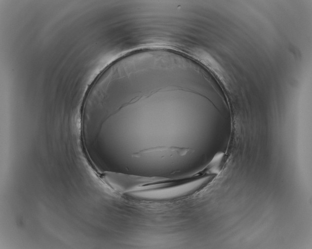 X0000112071428200908181210