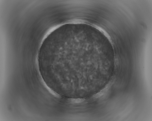 X0000112071429200908181210